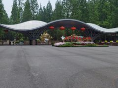 -东平国家森林公园