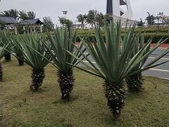 -白沙门生态公园