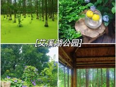 -艾溪湖湿地公园