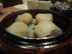 虾饺-糖朝(尖沙咀店)