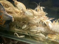 -马路边上·小海鲜烧烤(八一路店)