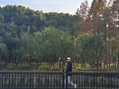 -黄兴公园