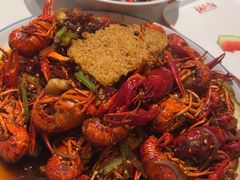 -杨氏青龙虾·羊蝎子(托乐嘉店)