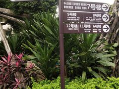 -广州市红十字会医院(总院)