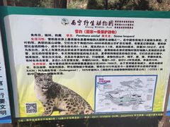 -青藏高原野生动物园