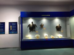 -福州罗源湾海洋世界旅游区