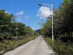 -亚龙湾国际玫瑰谷