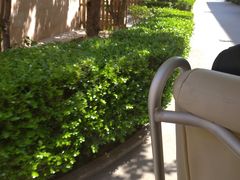 -北京市海淀外国语实验学校