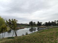 -两河城市森林公园