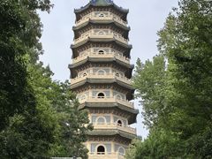 -灵谷景区