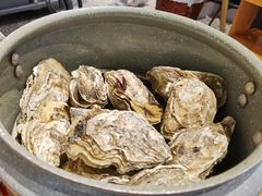 -蚝英雄·鲜蚝自助专门店