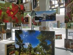 -上海植物园-4号门售票处