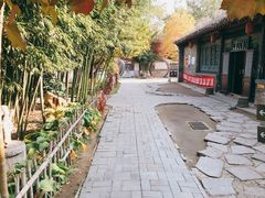 -王家大院