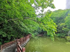 -洛阳白云山景区