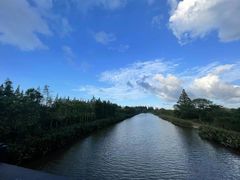 -上海长兴岛郊野公园