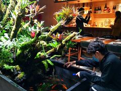 -森味薪火烧•烧鸟居酒屋•日本料理(望京店)