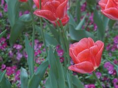 -玄武湖景区-情侣园游乐场