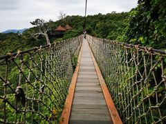 -亚龙湾热带天堂森林公园