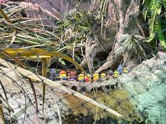 -太平洋海底世界