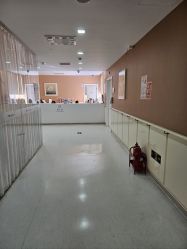 -天津和睦家医院