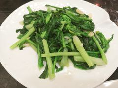 -金碧轩粤菜海鲜大酒楼