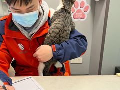 -伟伟宠物医院·瑞派猫友好医院·猫科(光谷店)