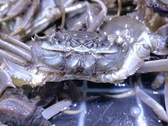 -聚盛源蒸汽海鲜火锅烤肉自助(巨川金海岸购物广场店)