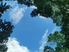 -番禺大夫山森林公园
