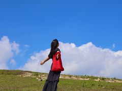 -大姆山草场