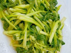 -小贝壳酒楼(经九路店)