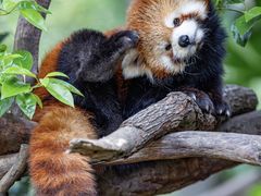 -Galleria百货店名品馆