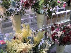 -KKV(南京新城市广场店)