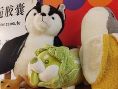 -好玩工厂密室·鹅鸭杀·桌游拼豆电玩