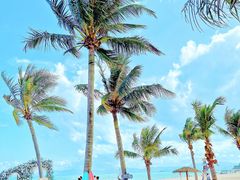 因为要门票，人烟稀少-玫瑰海岸文化旅游度假区