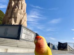 -嘉陵江源头景区