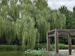 -郑州植物园