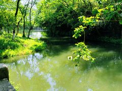 -西溪国家湿地公园