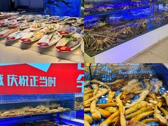 -驻海渔市(置信店)