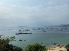 -旺富东海大酒楼(海鲜街店)