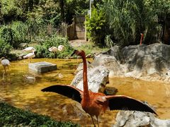-昆明动物园