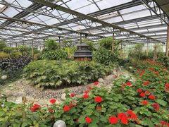 -南宫五洲植物乐园