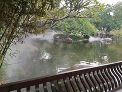 -名树园