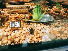 -上海昆虫博物馆