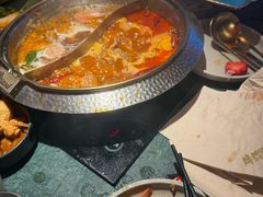 -牛New寿喜烧(金鹰世界店)