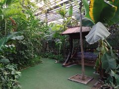 -呀路古热带植物园