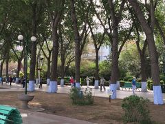 -人民防洪胜利纪念塔