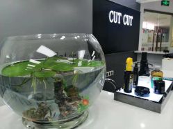 -CUT CUT Hair Salon