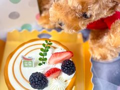 -小西家作(富力爱丁堡店)