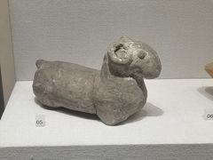 -四川大学博物馆