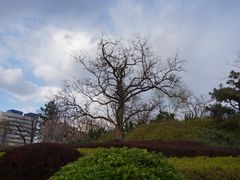 -元大都城垣遗址公园